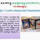 키키하우스 이미지