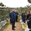 소집농장 이미지