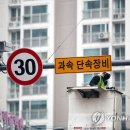 북구청 교통지도과 이미지