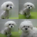 이지훈동물병원 이미지