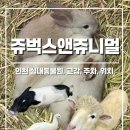 서창나무어린이집 | [인천 데이트코스] 쥬벅스 앤 쥬니멀 :: 실내동물원 솔직후기