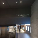 스노우폭스플라워교보