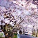 남해가봄 이미지