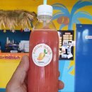 코코와사람들 이미지