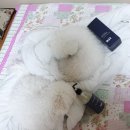 제이와이랩 이미지