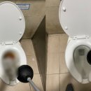 시청역(1) 화장실 이미지