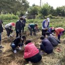 송세영농장 이미지