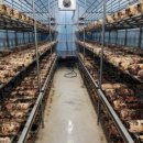 다울농장 이미지