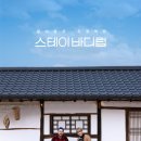 스테이다정다감 이미지