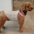 내곡동448 이미지