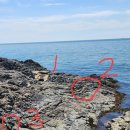 누리마루 자료 14. 수산대 수산과학연구소 정보 이미지