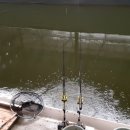 일신낚시터 이미지