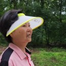 마장백화점약국 이미지