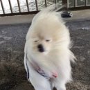 성수 네이버블로그