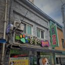 몽몽이 애견미용 이미지