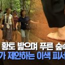 [영상]맨발로 황토 밟으며 푸른 숲속을.. 의왕시가 제안하는 이색 피서지 / OBS 뉴스O 이미지