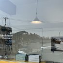 팔로디리몬 이미지