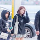 미야와키 사쿠라 카카오 검색결과