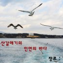 부산갈매기의 인연의바다 (가요 20:00-22:00) 이미지