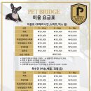 펫브릿지 이미지