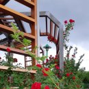 경산자전거오아시스 이미지