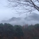 야생초농원 이미지