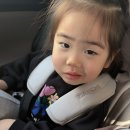 농협남면지점 | 남해 사천 아이랑 갈곳 효도여행 / 아라마루 아쿠아리움 서진이네건어물 돈나라 맛집 추천