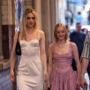 데이지 하우스 이미지