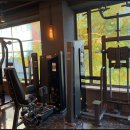 에스투짐 이미지