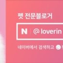 버블펫쌀롱 이미지