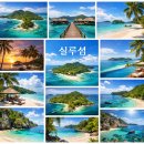 시루섬 | 실루섬 겨울바다 명소 추천 실루섬, 겨울바다, 여행지