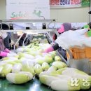 성산일출봉농업협동조합 농산물산지유통센터 이미지