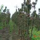 경산농장 이미지