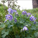 도안농장 이미지