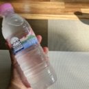 파파돈스 이미지