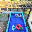 우월한스테이 이미지