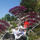 현풍중학교 이미지