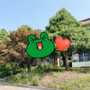 더올소정육점 | [애견동반] 골드펫리조트 🏕 글램핑 뚜벅이 커플 캠핑 💸 가격 교통편 🚗 내부시설 정리 (feat. 메리세끼...