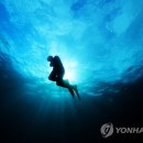한수풀인력