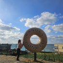 다우목장 | (제주여행-3) 대금식당/알파카목장/랜디스도넛/보롬사진관/BHC 동글락바삭치킨