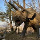 미호박물관 이미지