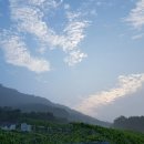 이리농장 이미지