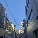 차 닦는 신사 | 도쿄 여행 일기 (2일차 ① 도쿄 아쿠아틱스, 요요기역, 메이지 신궁)