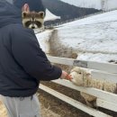 도우펜션 이미지