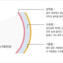 한라약국 이미지