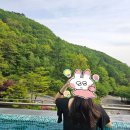 모자치킨 | 제천 포레스트 리솜 해브나인 스파 _ 임산부 후기 _ 둥지치킨 _ 편의점