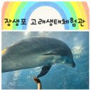 [아이랑 울산 여행] 장생포 고래생태체험관 후기 - 아이랑 실내 가볼 만한 곳