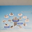 (상반기) 반려동물과 행복한 동행 : 펫티켓 | &lt;소소한 학습 행복 프로그램 : 반려동물과 행복한 동행(펫티켓)&gt;