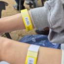 찐잼 | “찐맛! 찐잼! 2025 증평인삼골축제 직접 다녀온 솔직 후기”