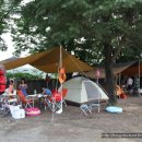 구룡초등학교 이미지